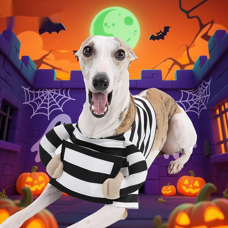 Halloween Pet